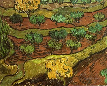 ヴィンセント・ヴァン・ゴッホ Painting - 丘の斜面を背景にしたオリーブの木 フィンセント・ファン・ゴッホ